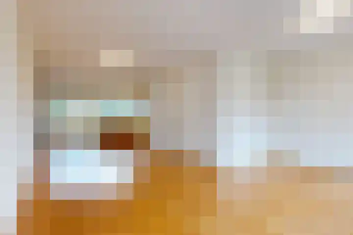 Poolster 221 Hoorn thumbnail 4