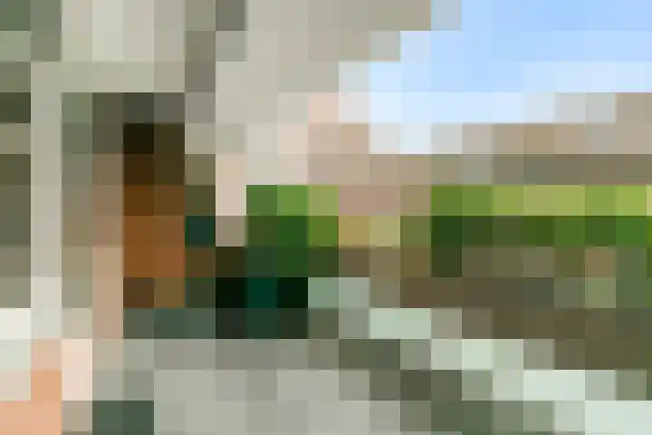 Poolster 221 Hoorn thumbnail 5