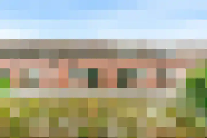 Poolster 221 Hoorn thumbnail 6