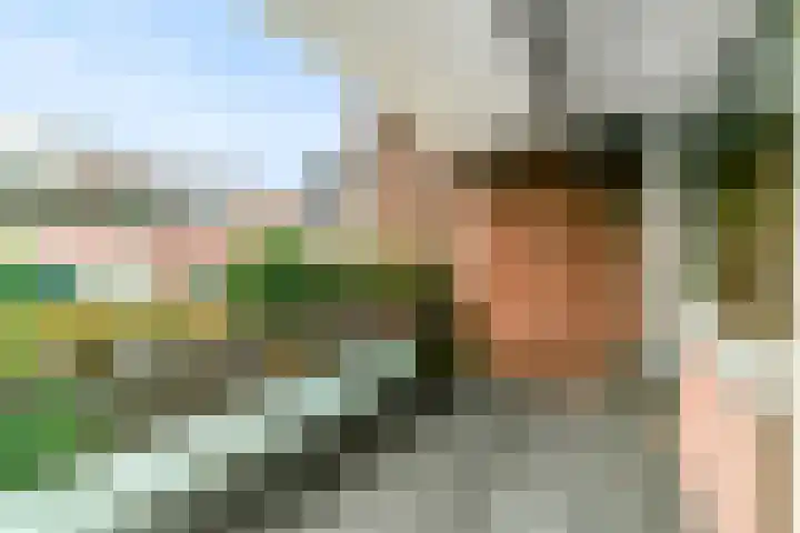 Poolster 221 Hoorn thumbnail 7