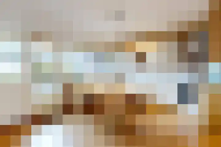 Poolster 221 Hoorn thumbnail 8