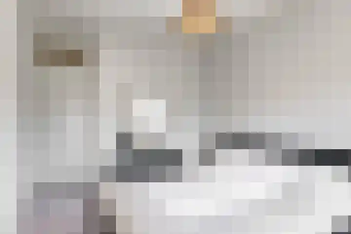 Poolster 226 Hoorn thumbnail 12
