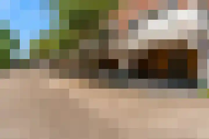 Poolster 226 Hoorn thumbnail 20