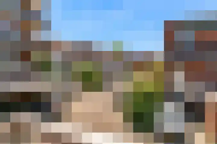 Poolster 226 Hoorn thumbnail 21