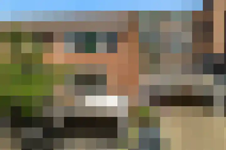 Poolster 226 Hoorn thumbnail 25