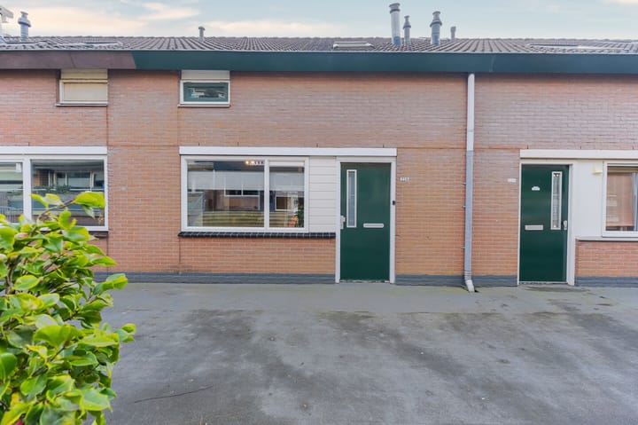 Poolster 228 dans Hoorn photo