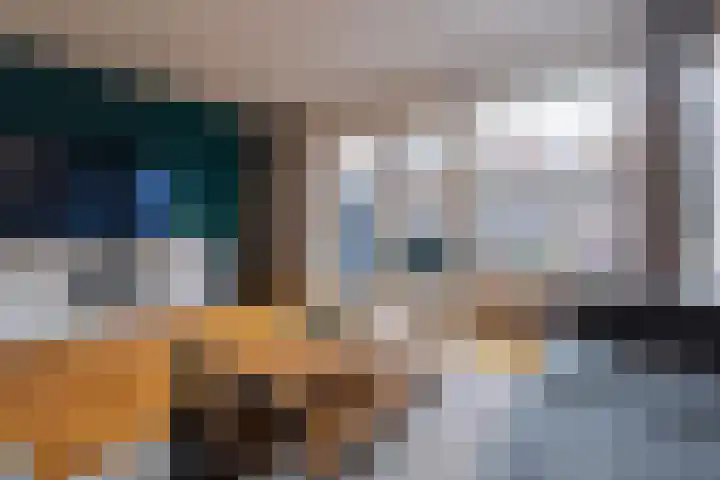 Poolster 228 Hoorn thumbnail 14