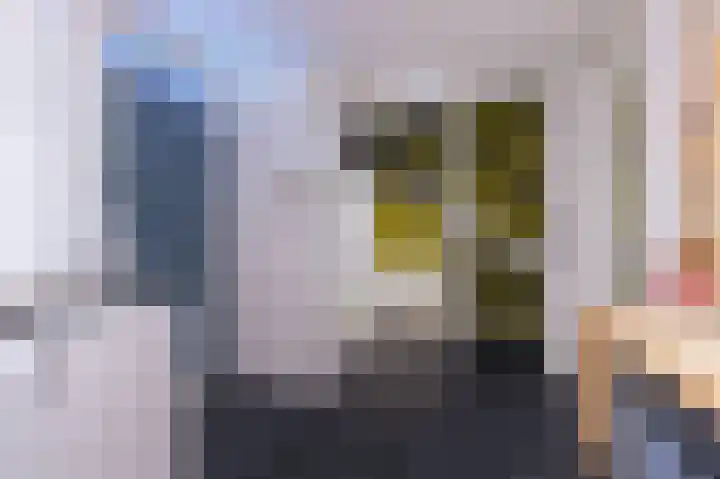 Poolster 228 Hoorn thumbnail 22