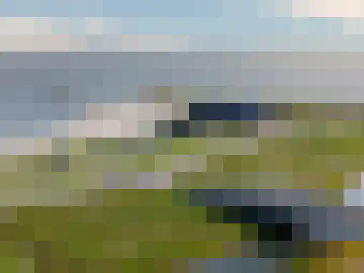 Poolster 228 Hoorn thumbnail 24