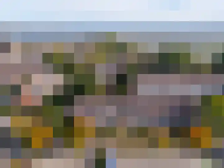 Poolster 24 Hoorn foto 3