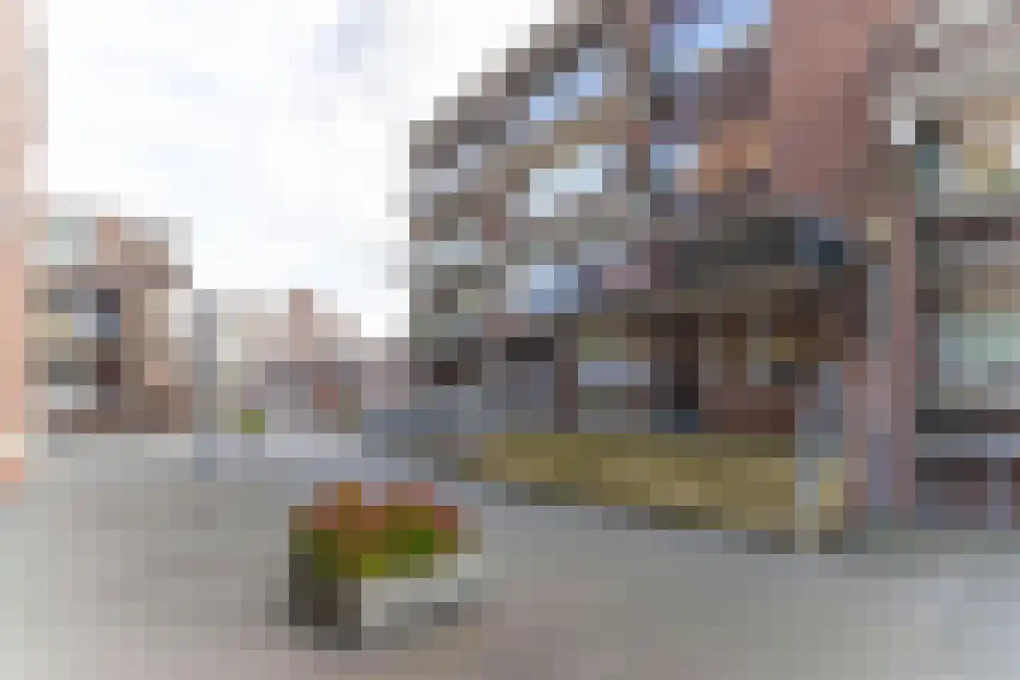 Poolster 241 Hoorn thumbnail 6