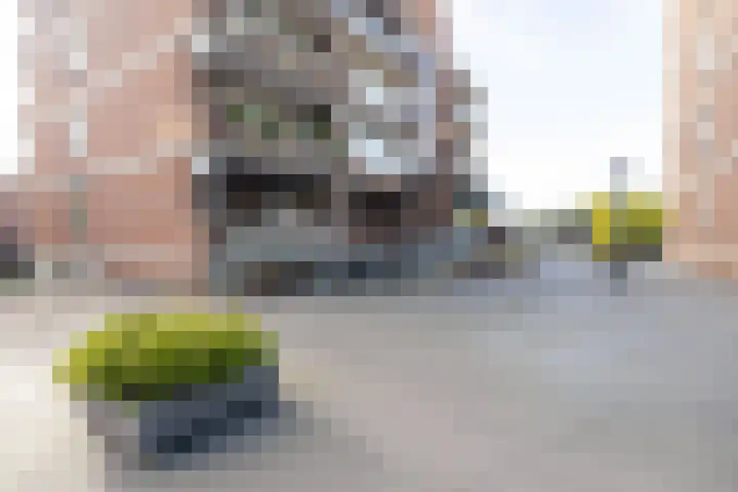 Poolster 241 Hoorn thumbnail 8