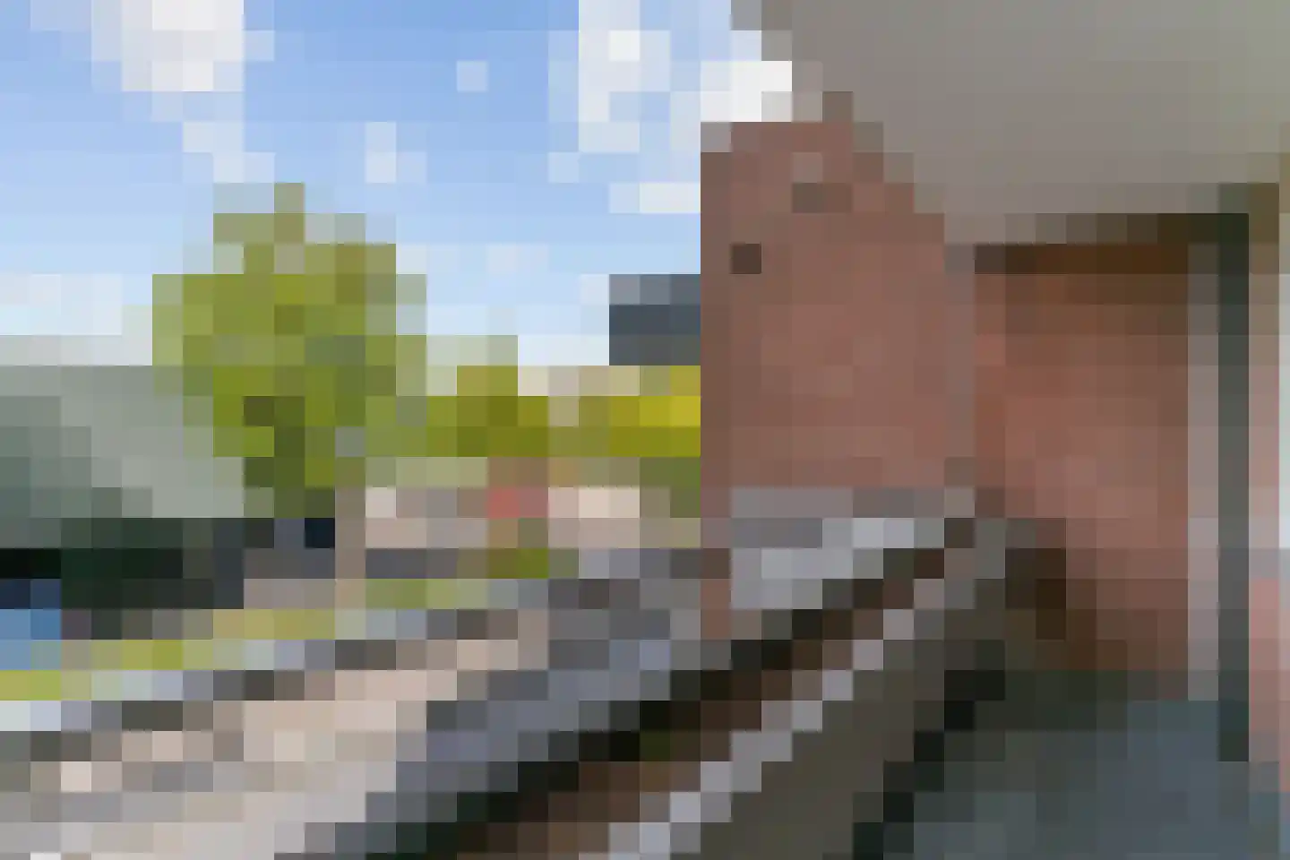 Poolster 244 Hoorn thumbnail 23