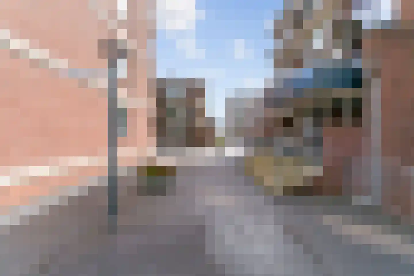 Poolster 244 Hoorn thumbnail 38