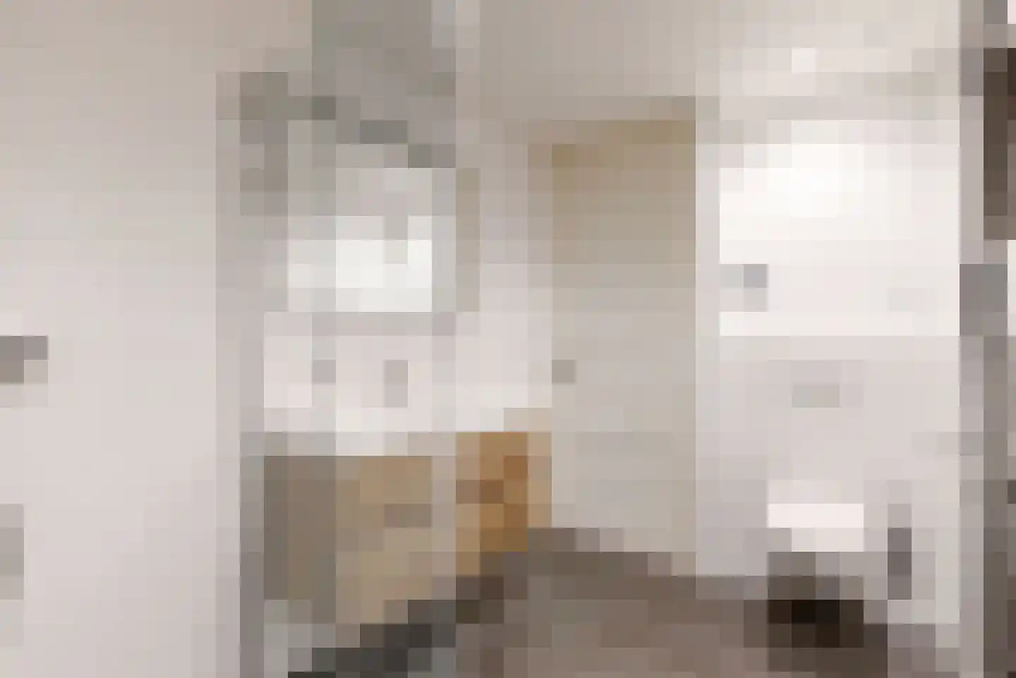 Poolster 244 Hoorn thumbnail 4