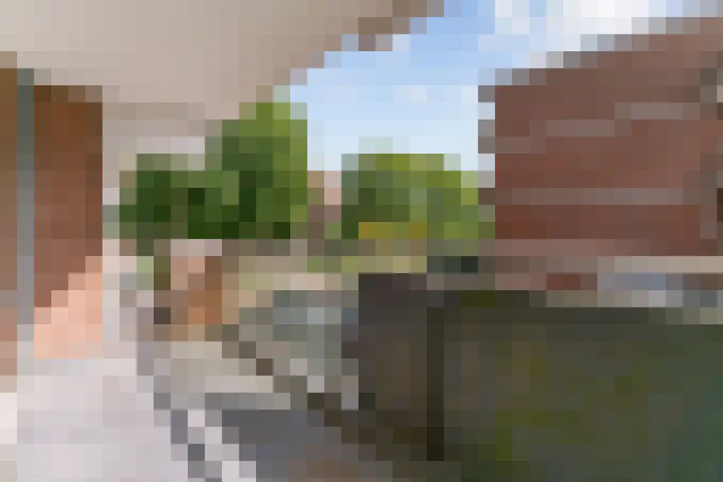 Poolster 244 Hoorn thumbnail 7