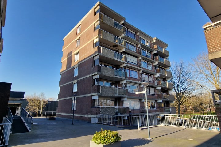 Poolster 246 in Hoorn Foto
