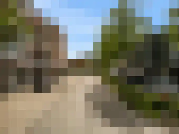 Poolster 254 Hoorn thumbnail 25