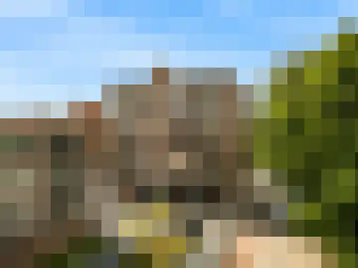 Poolster 254 Hoorn thumbnail 28