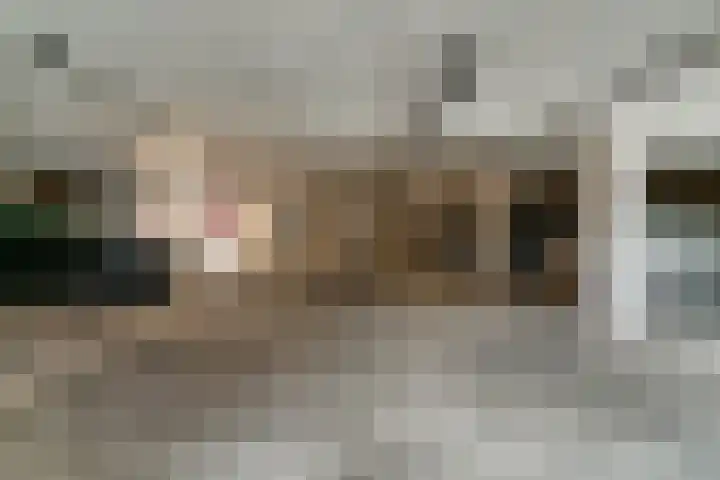 Poolster 254 Hoorn thumbnail 34