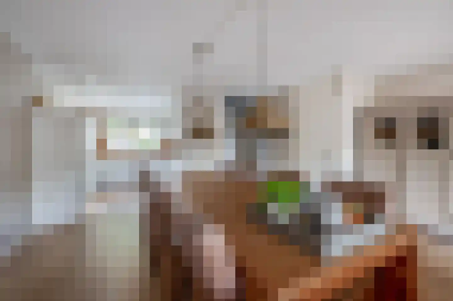 Poolster 27 Waddinxveen thumbnail 14