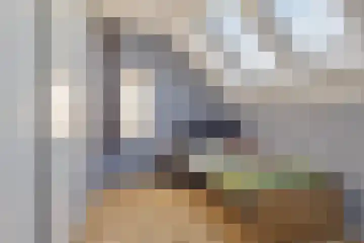 Poolster 3 Klazienaveen thumbnail 12