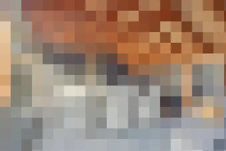 Poolster 3 Klazienaveen thumbnail 19