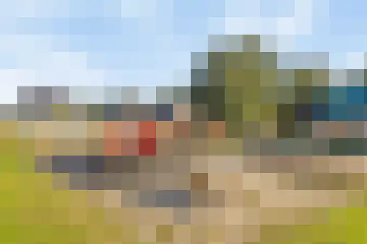 Poolster 3 Klazienaveen thumbnail 21