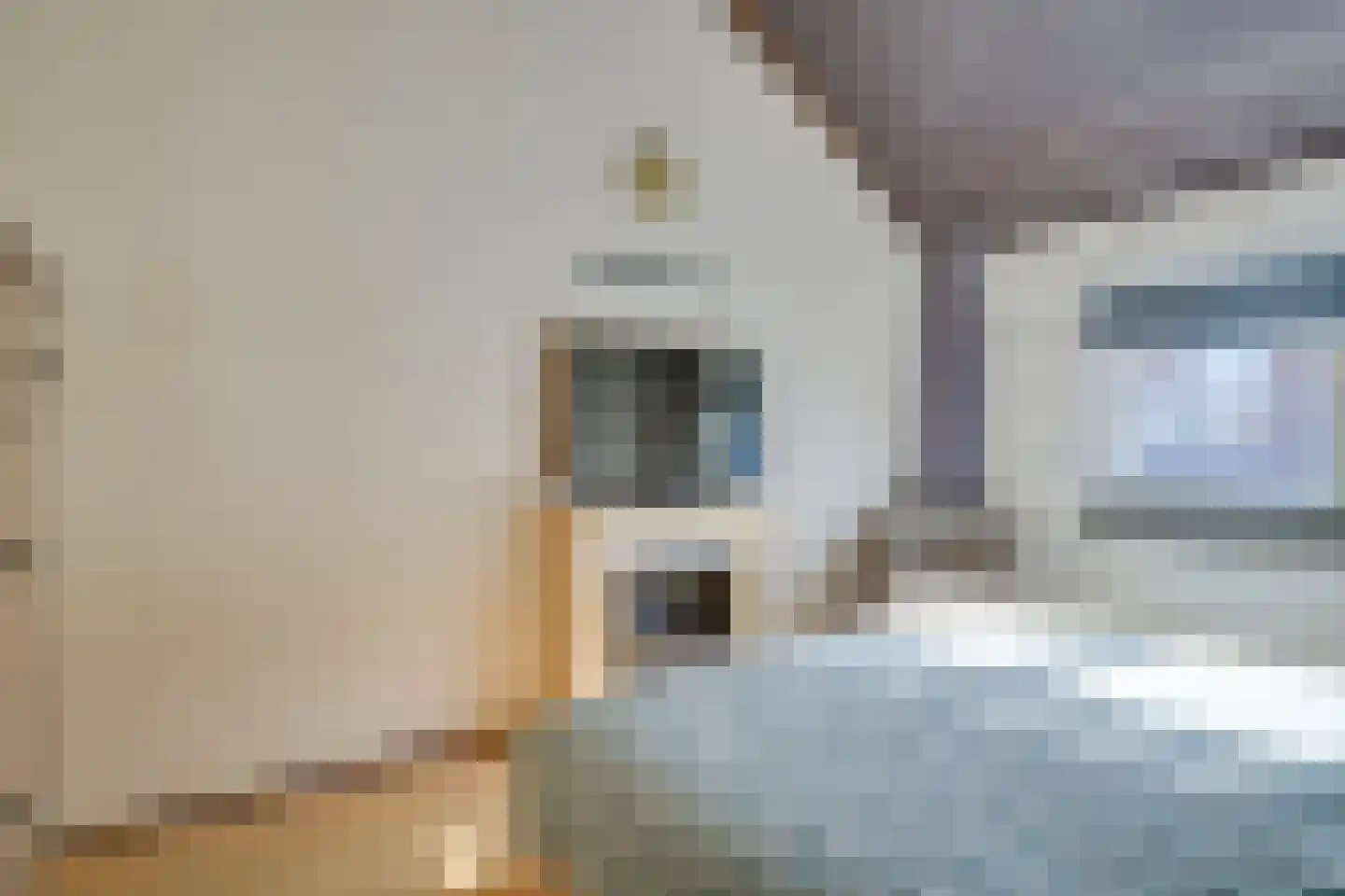 Poolster 30 Hoorn thumbnail 22