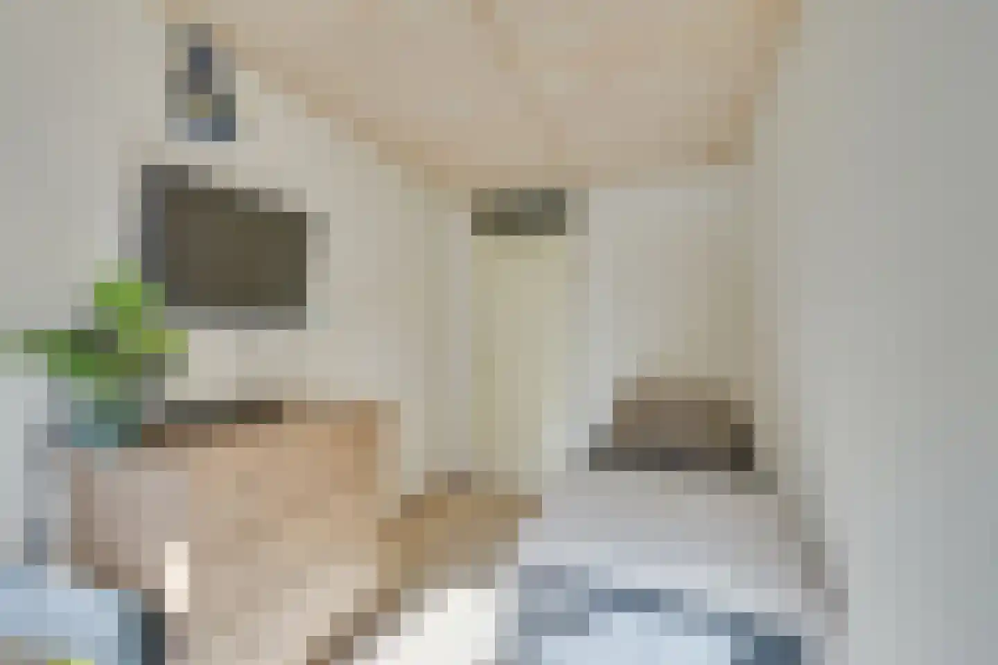 Poolster 30 Hoorn thumbnail 24