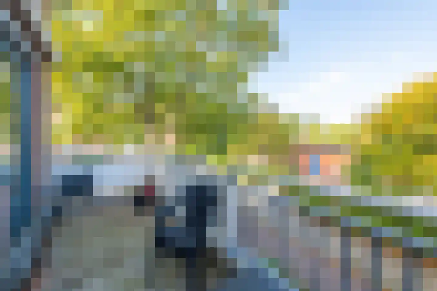 Poolster 30 Hoorn thumbnail 32
