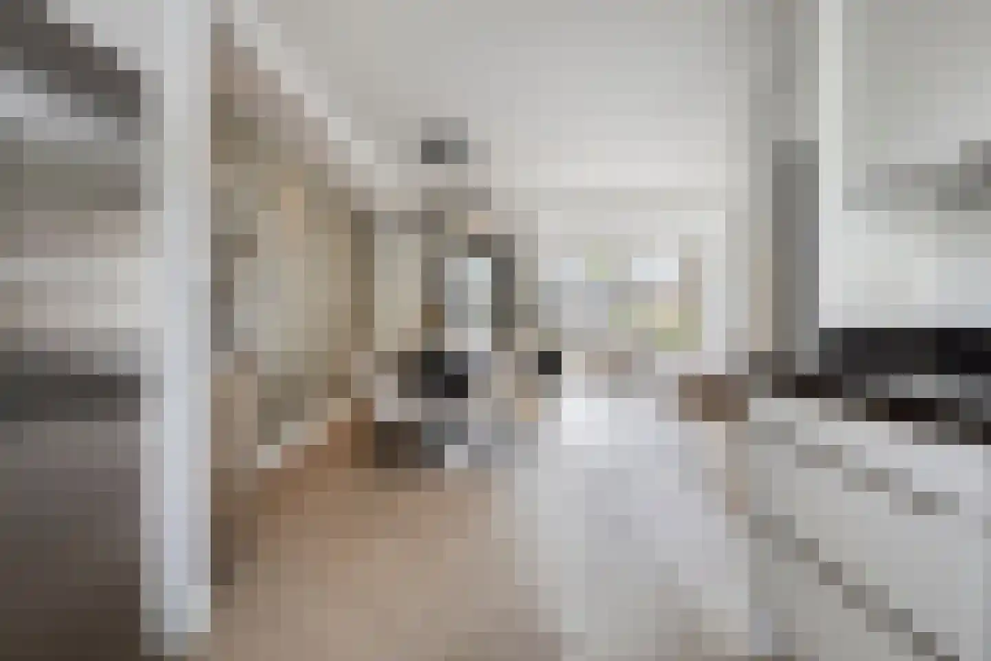 Poolster 34 Oosterhout thumbnail 17