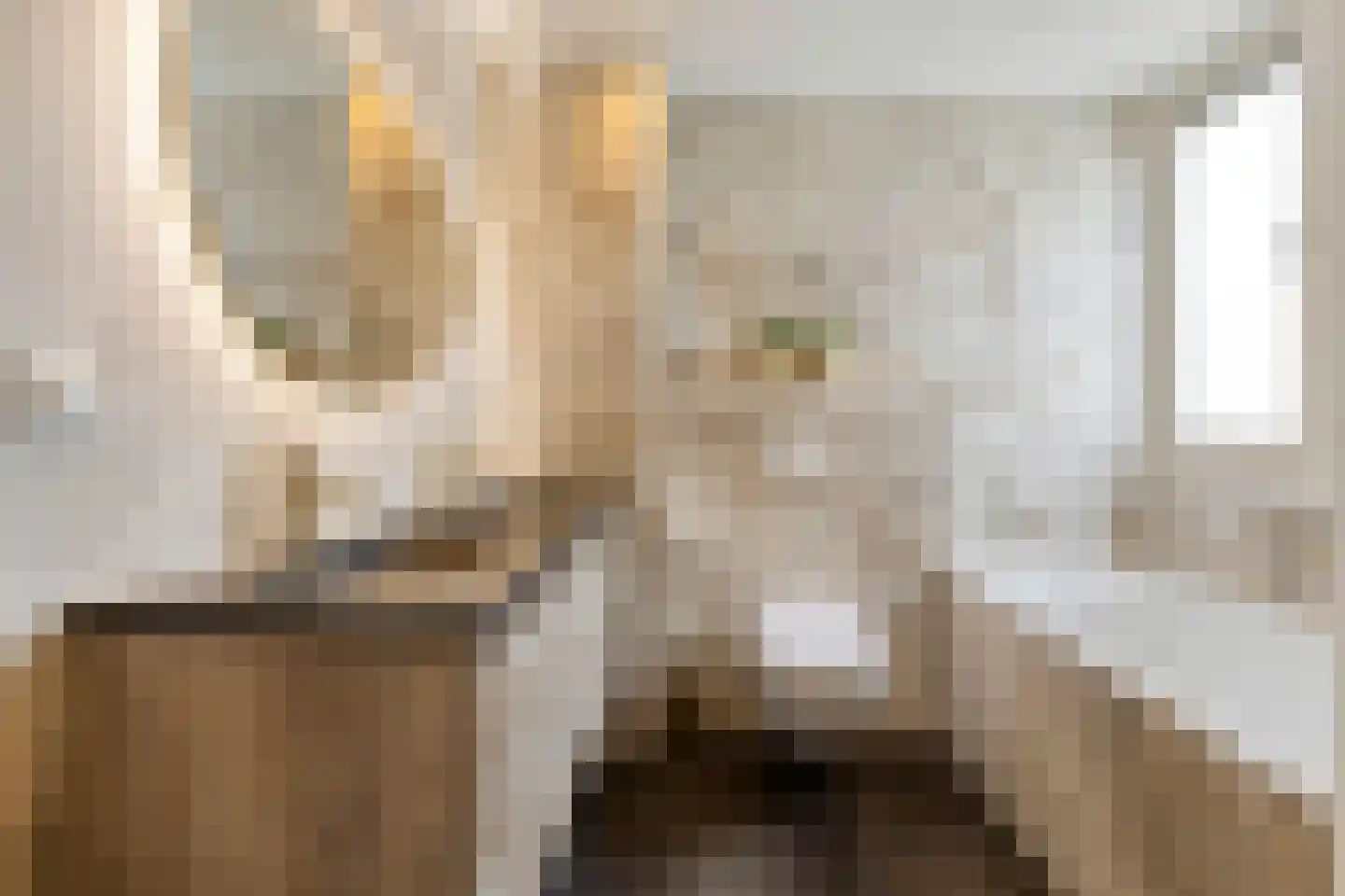Poolster 34 Oosterhout thumbnail 23