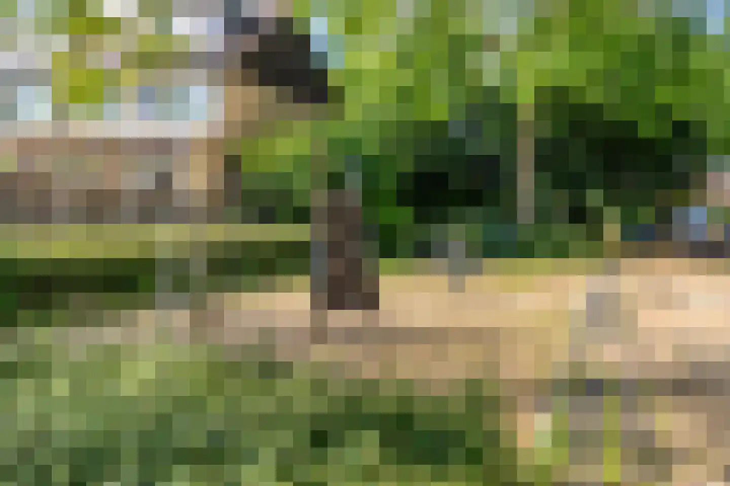 Poolster 34 Oosterhout thumbnail 39