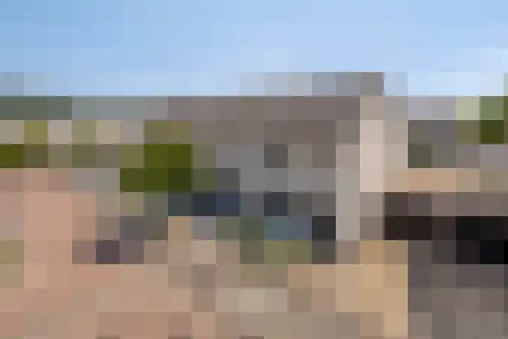 Poolster 35 Schijndel thumbnail 26