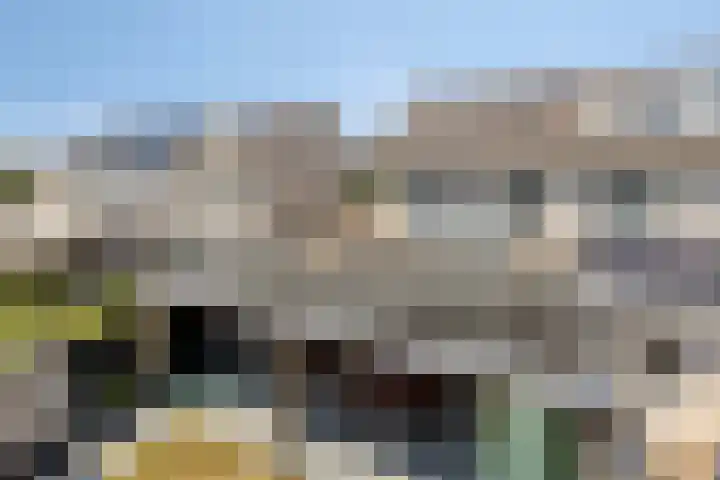 Poolster 35 Schijndel thumbnail 29