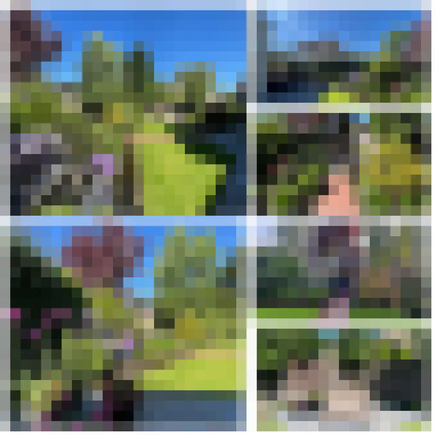 Poolster 35 Schijndel thumbnail 30