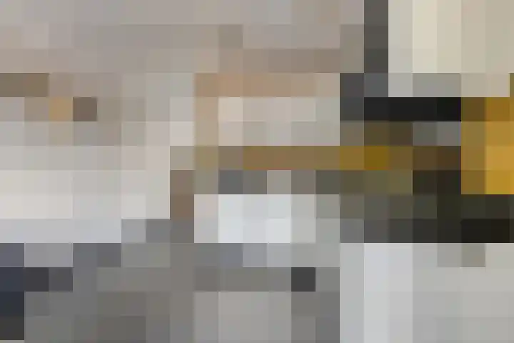 Poolster 35 Schijndel thumbnail 9