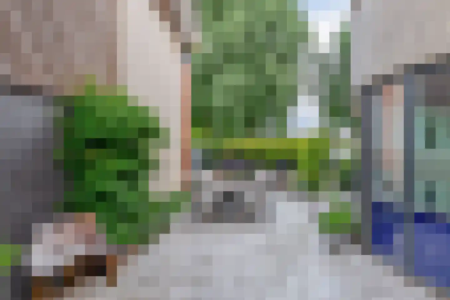 Poolster 38 Waddinxveen thumbnail 18