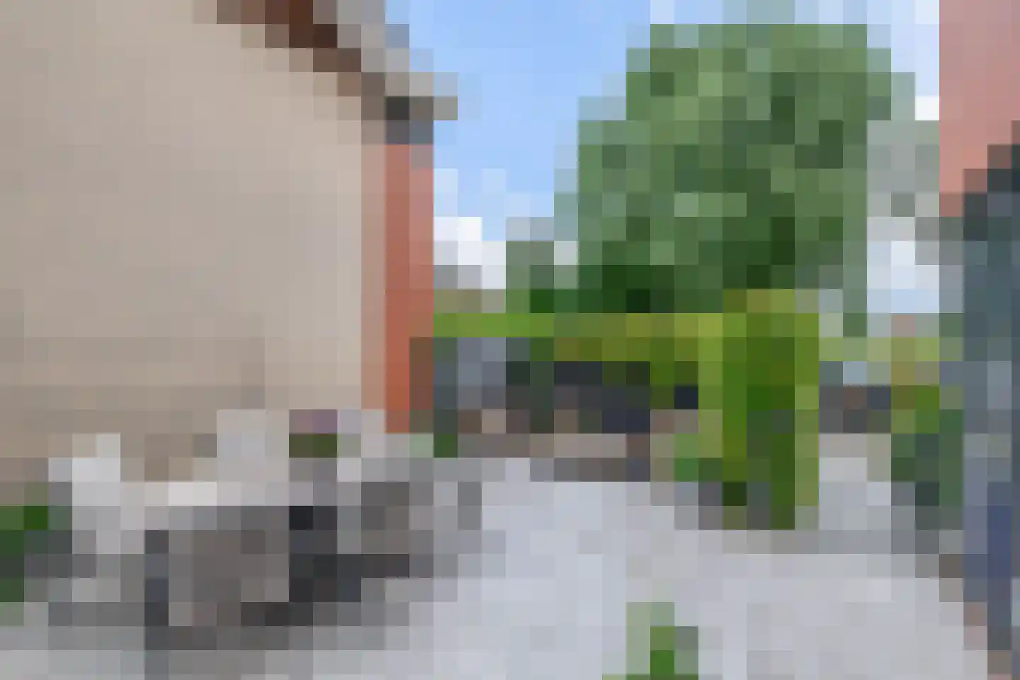 Poolster 38 Waddinxveen thumbnail 21