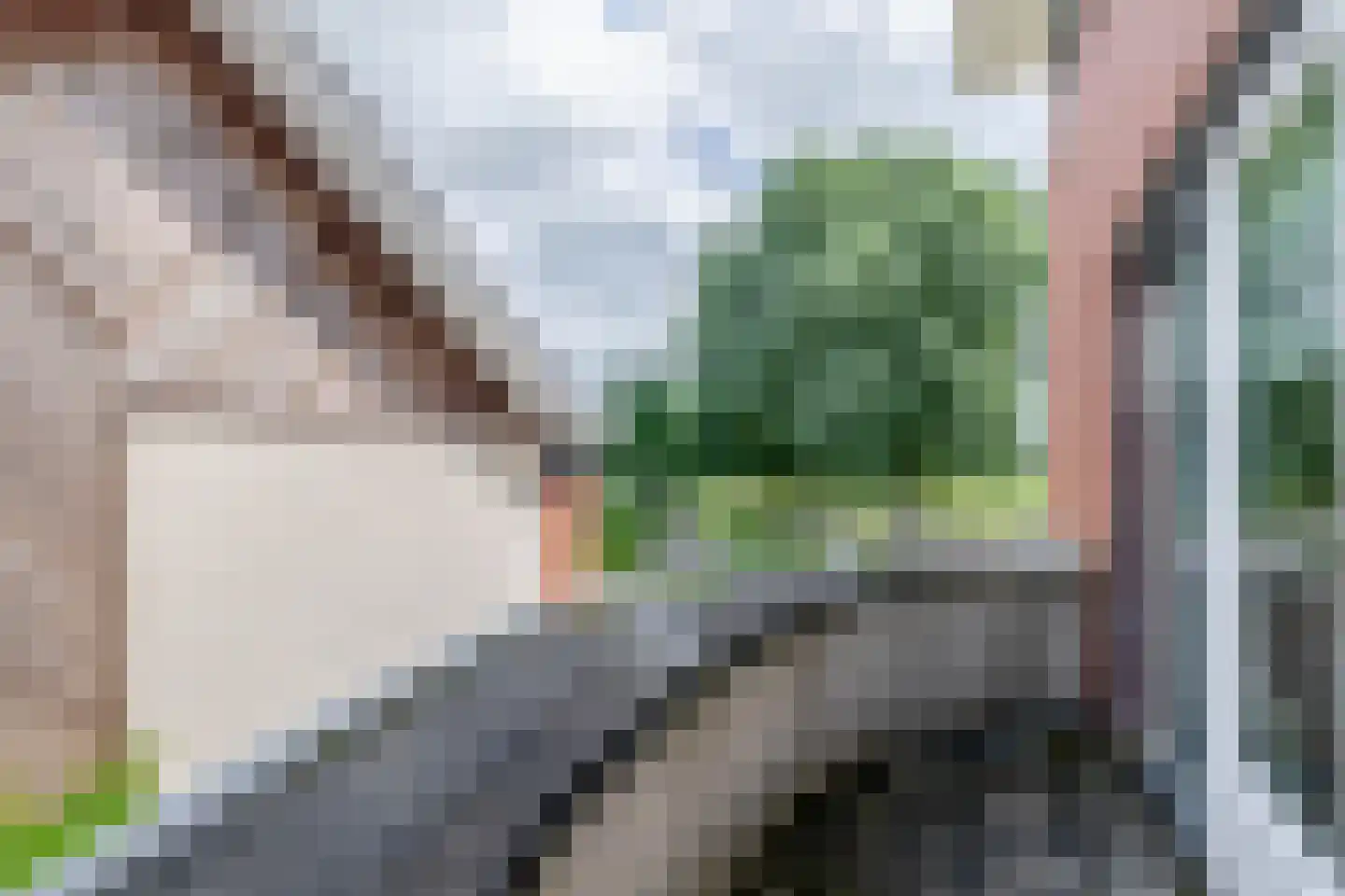Poolster 38 Waddinxveen thumbnail 31