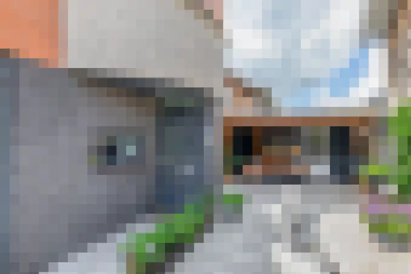 Poolster 38 Waddinxveen thumbnail 7