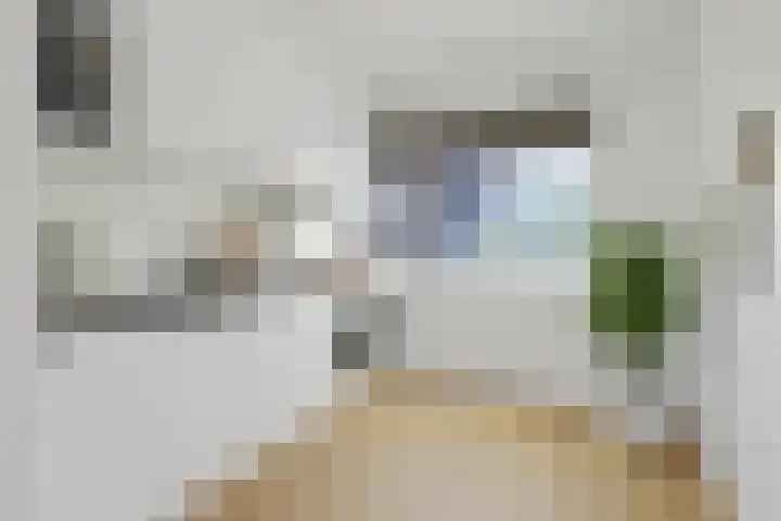 Poolster 43 Hoorn thumbnail 11