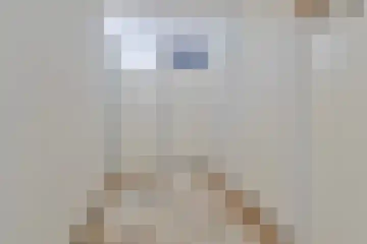 Poolster 43 Hoorn thumbnail 13