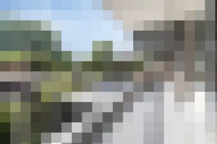 Poolster 43 Hoorn thumbnail 21