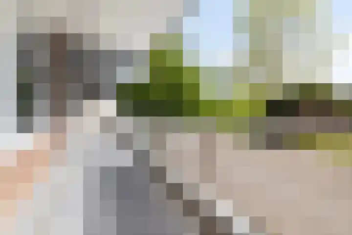 Poolster 43 Hoorn thumbnail 22