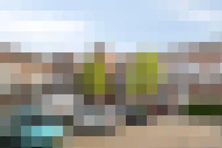 Poolster 43 Hoorn thumbnail 25