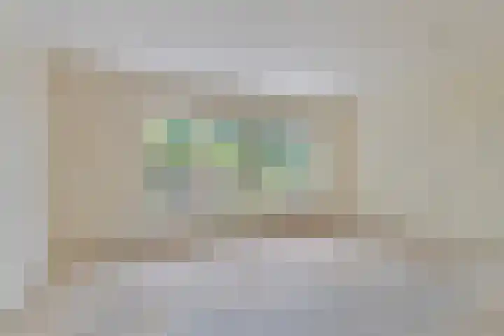 Poolster 43 Hoorn thumbnail 6