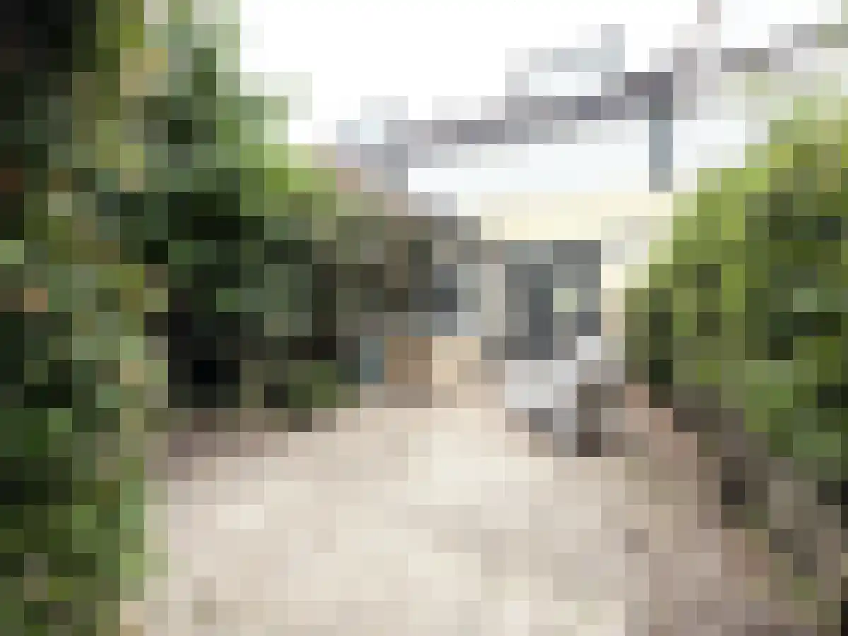 Poolster 44 Oosterhout thumbnail 4