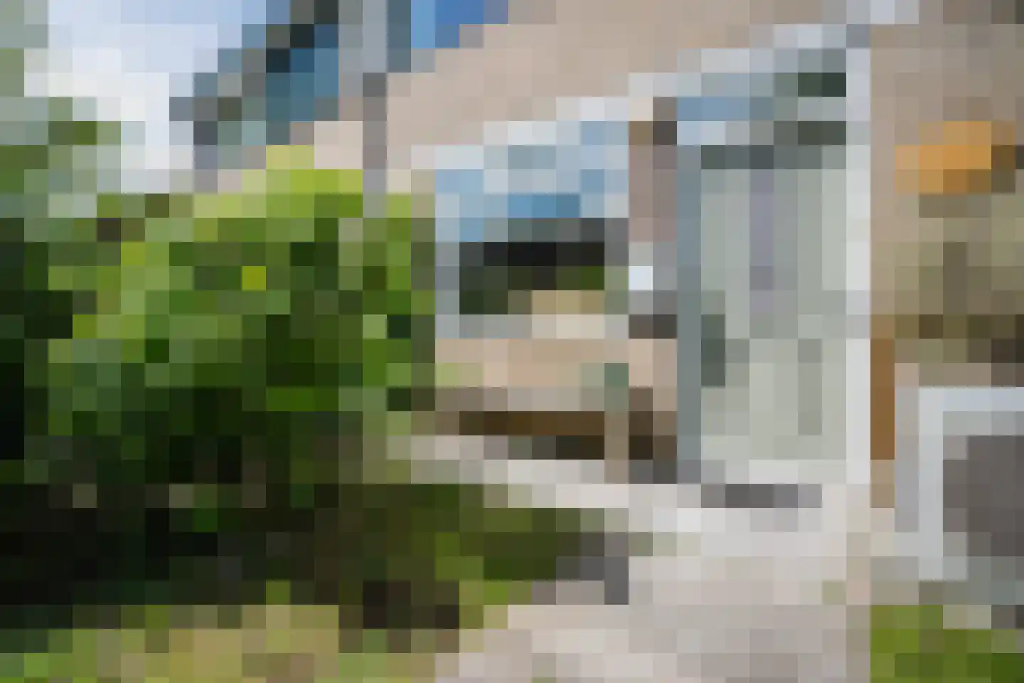 Poolster 5 Oosterhout thumbnail 10